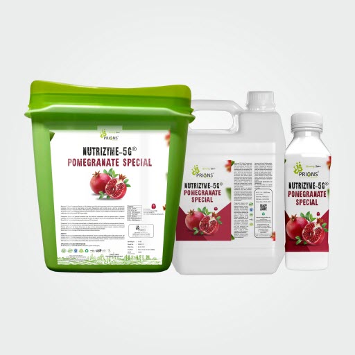 Promogrante Plant Fertilizer Manufacturers