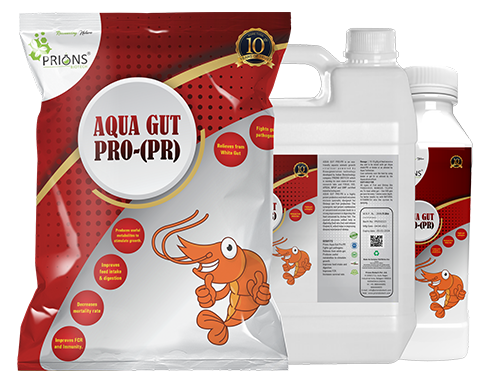 Aqua Feed Supplement Manufacturers