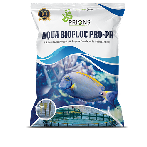 Aquaculture Probiotics and Enzymes for Biofloc System