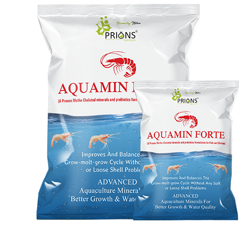 Aquaculture Minerals And Probiotics AQUAMIN FORTE