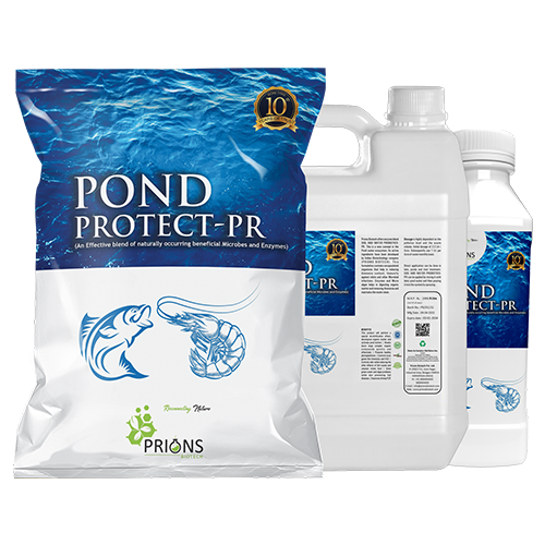 Pond Protect-PR - Enzyme Blend Soil and Water Probiotics