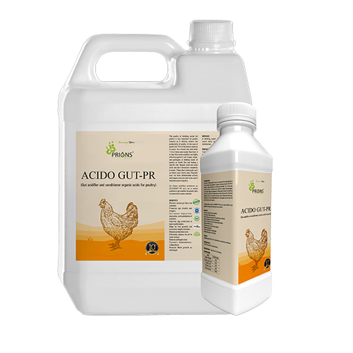 Gut Acidifier and Conditioner Organic Acids for Poultry