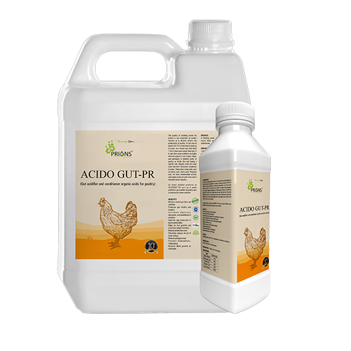 Gut Acidifier And Conditioner Organic Acids For Poultry ACIDO GUT PR Gut Acidifier And Conditioner Organic Acids For Poultry ACIDO GUT PR