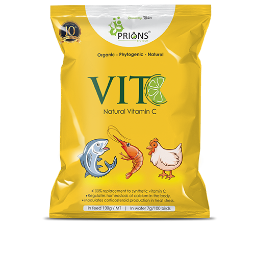 NATURAL VITAMIN C Effective Blend of Naturally Occurring Beneficial Phytogenic Extracts